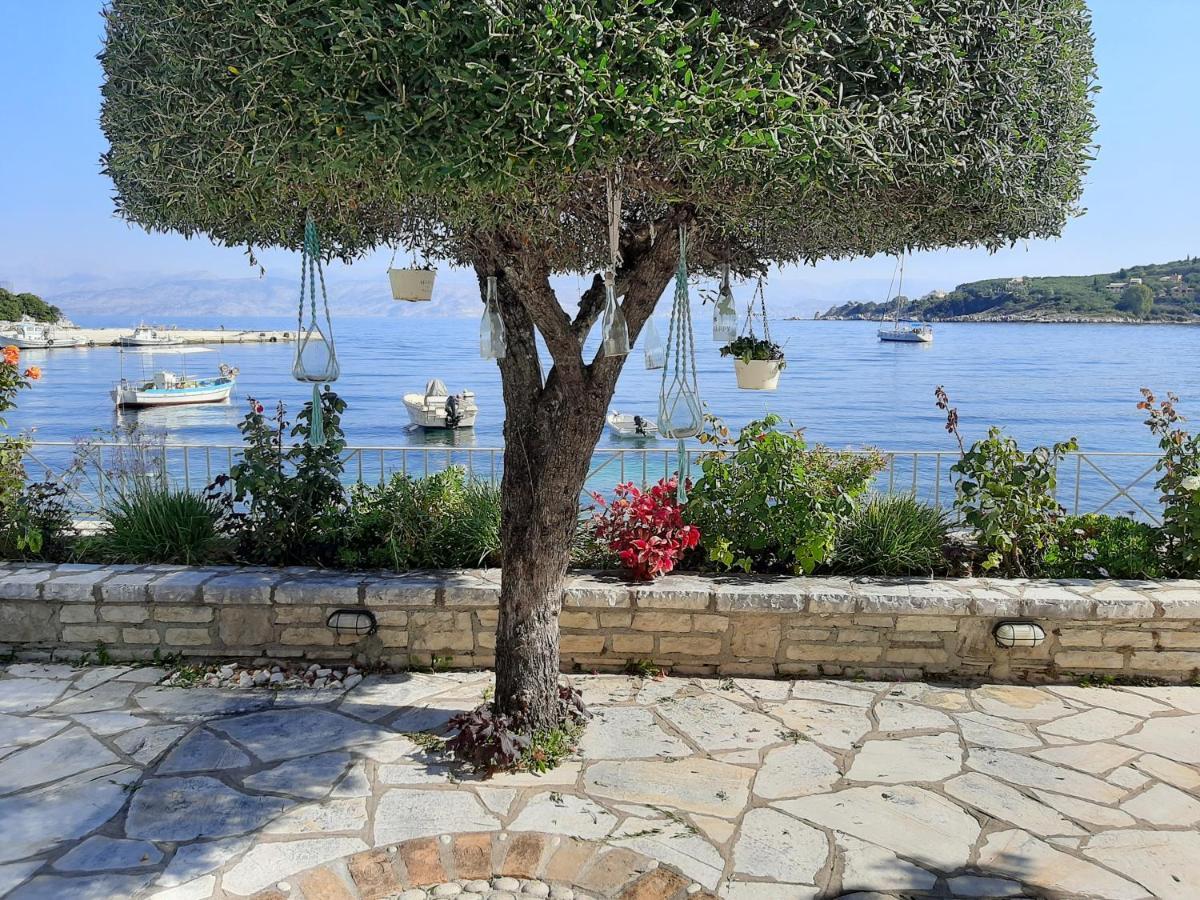 Imerolia Beach Villa Kassiopi Corfu Dış mekan fotoğraf